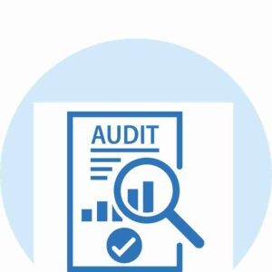 digitization audit